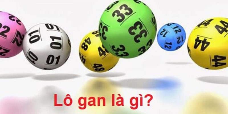 Bạn hiểu lô gan là gì?