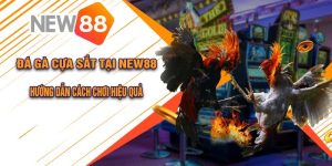 Đá Gà Cựa Sắt Tại New88 Hướng Dẫn Cách Chơi Hiệu Quả